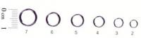 Кольцо заводное Rubcion Split Ring 71093-02 №2 Кольцо заводное Rubcion Split Ring 71093-02 №2