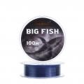 Леска RUBICON Big Fish 100m