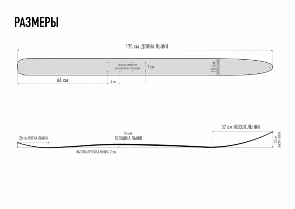 175.4_тайга_абс_дерево 175.4_тайга_абс_дерево