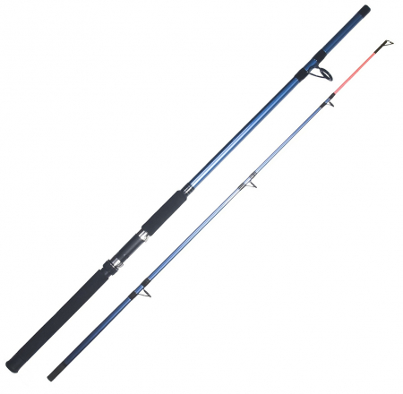 Спиннинг шт. RUBICON IDEA 100-250g 3.00m 1011-300