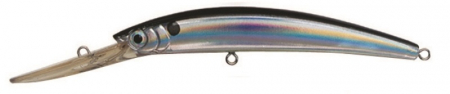 R539-B R539-B